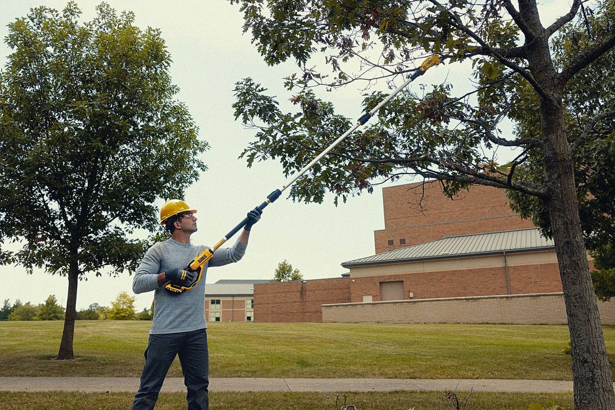 DEWALT DCPPR320B Pole Pruner (Bare Tool) - in use