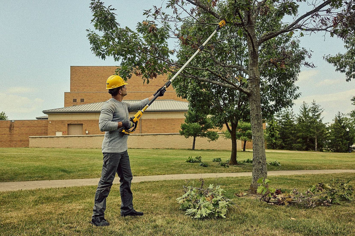 DEWALT DCPPR320B Pole Pruner (Bare Tool) - in use