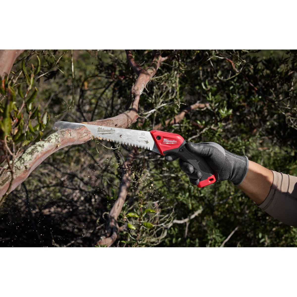 Milwaukee 48-22-9374 10” Fixed Pruning Saw – Straight Blade - in use