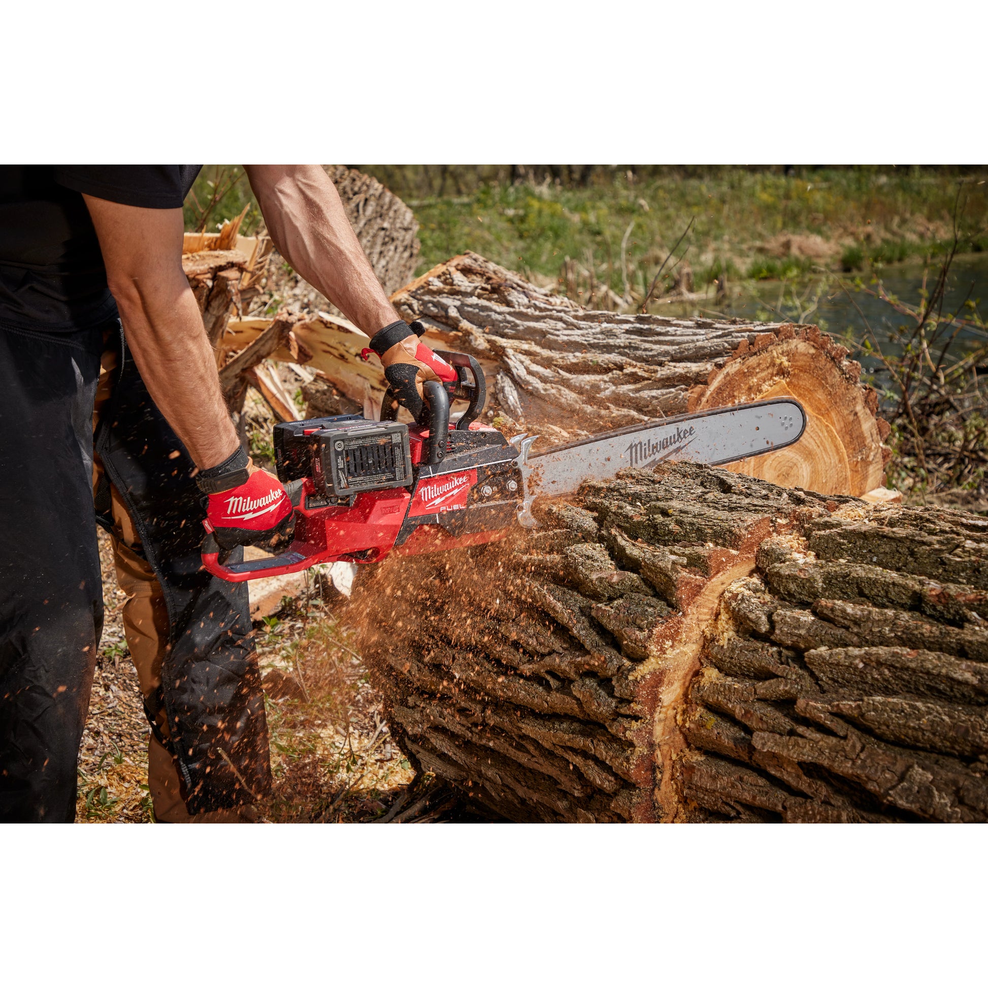 Milwaukee chainsaw being maintained with bar and chain oil