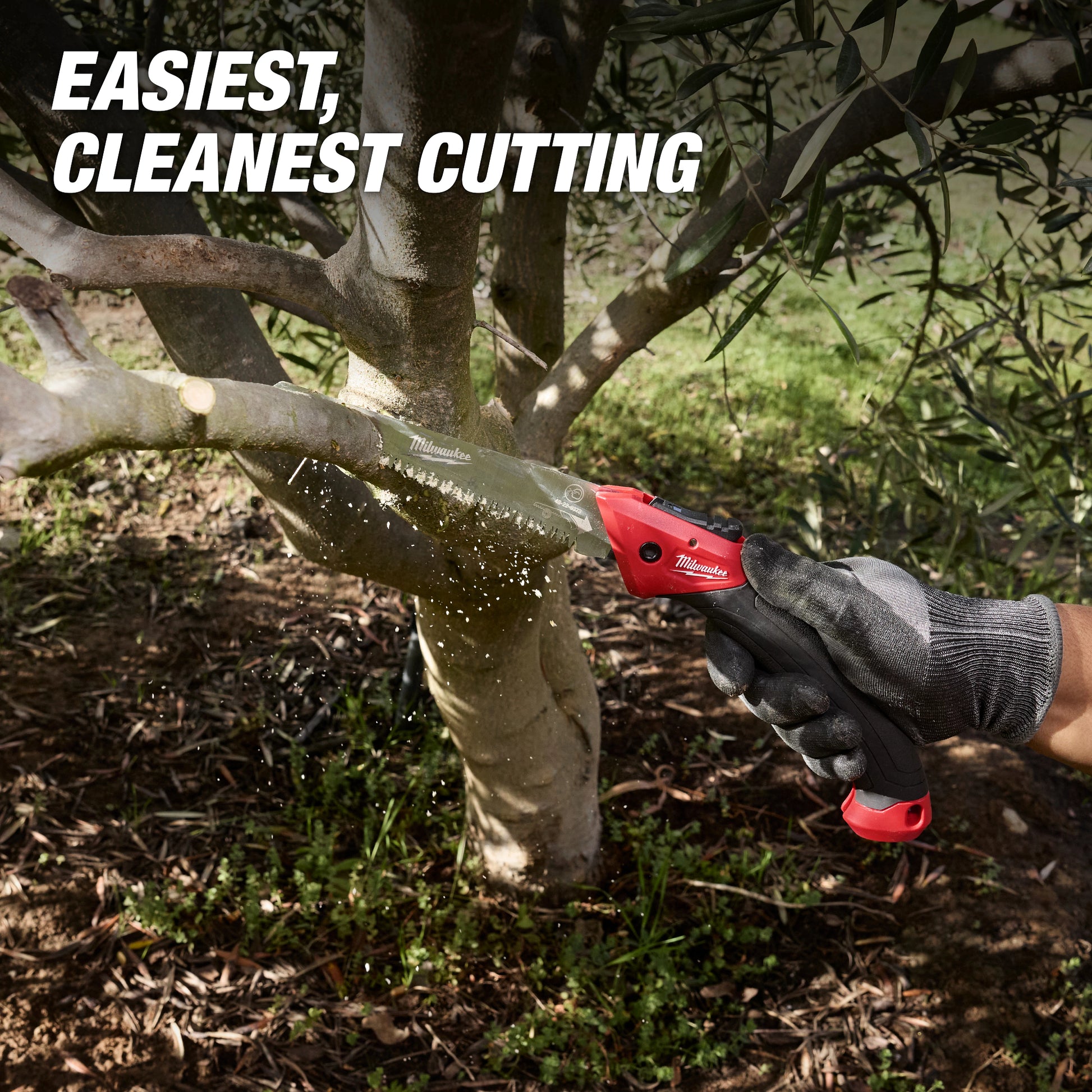 7” Folding Saw