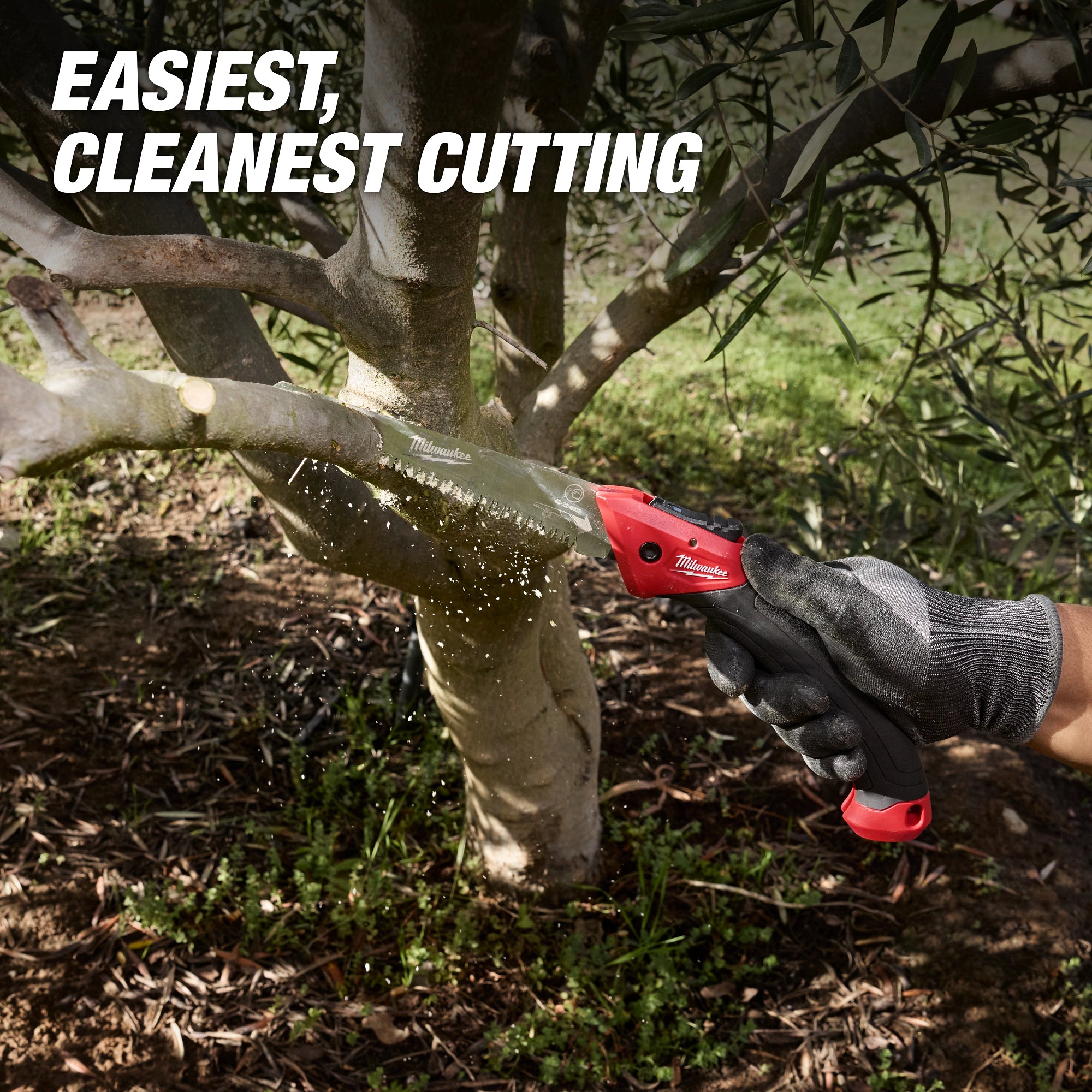 7” Folding Saw