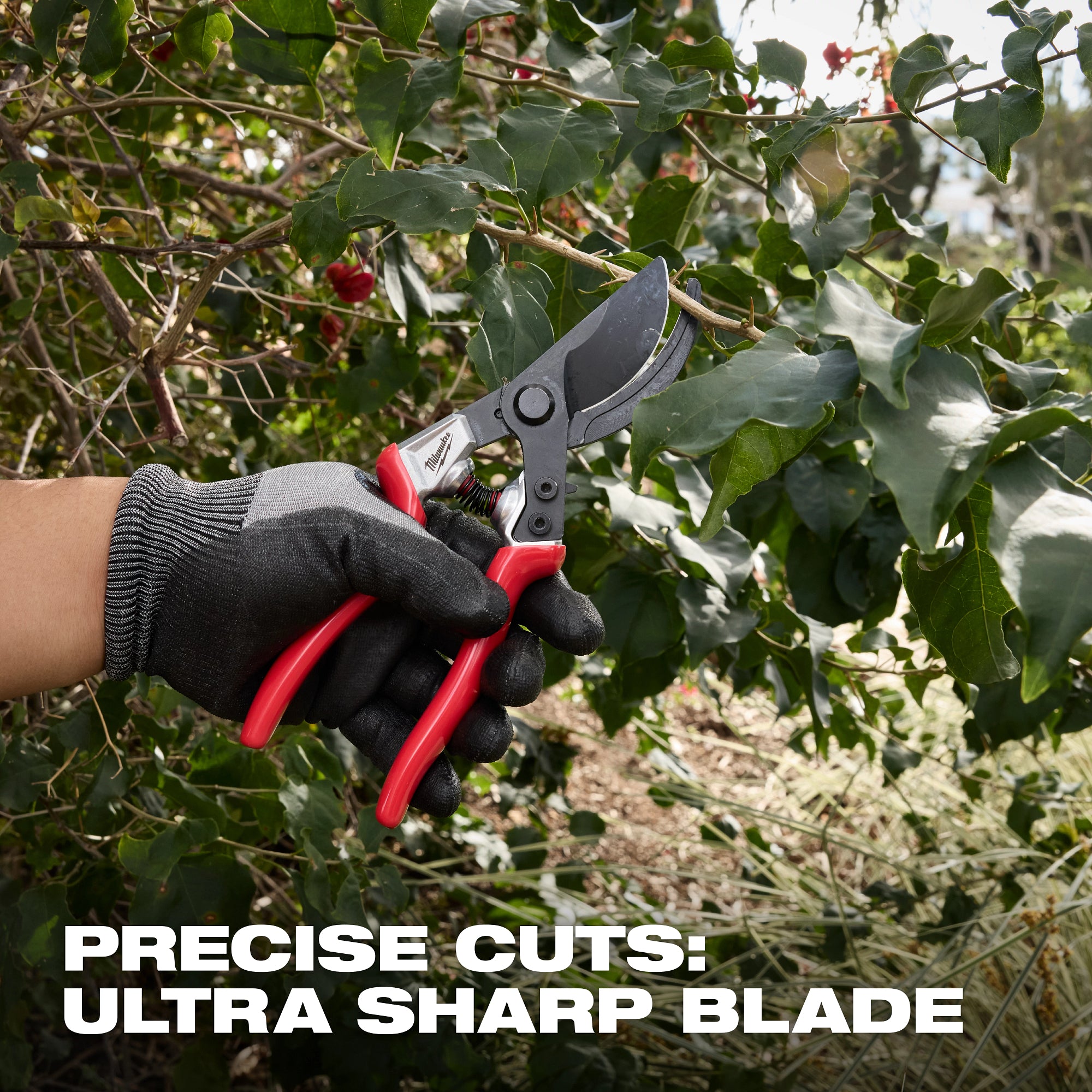 1” Angled Pruner​