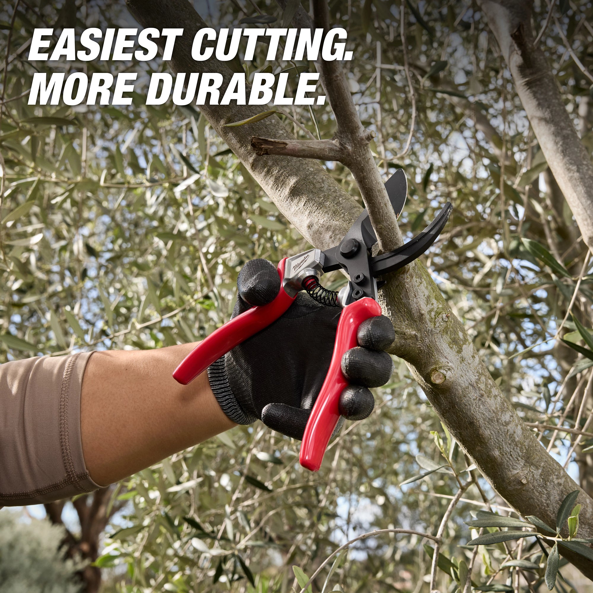 1” Angled Pruner​
