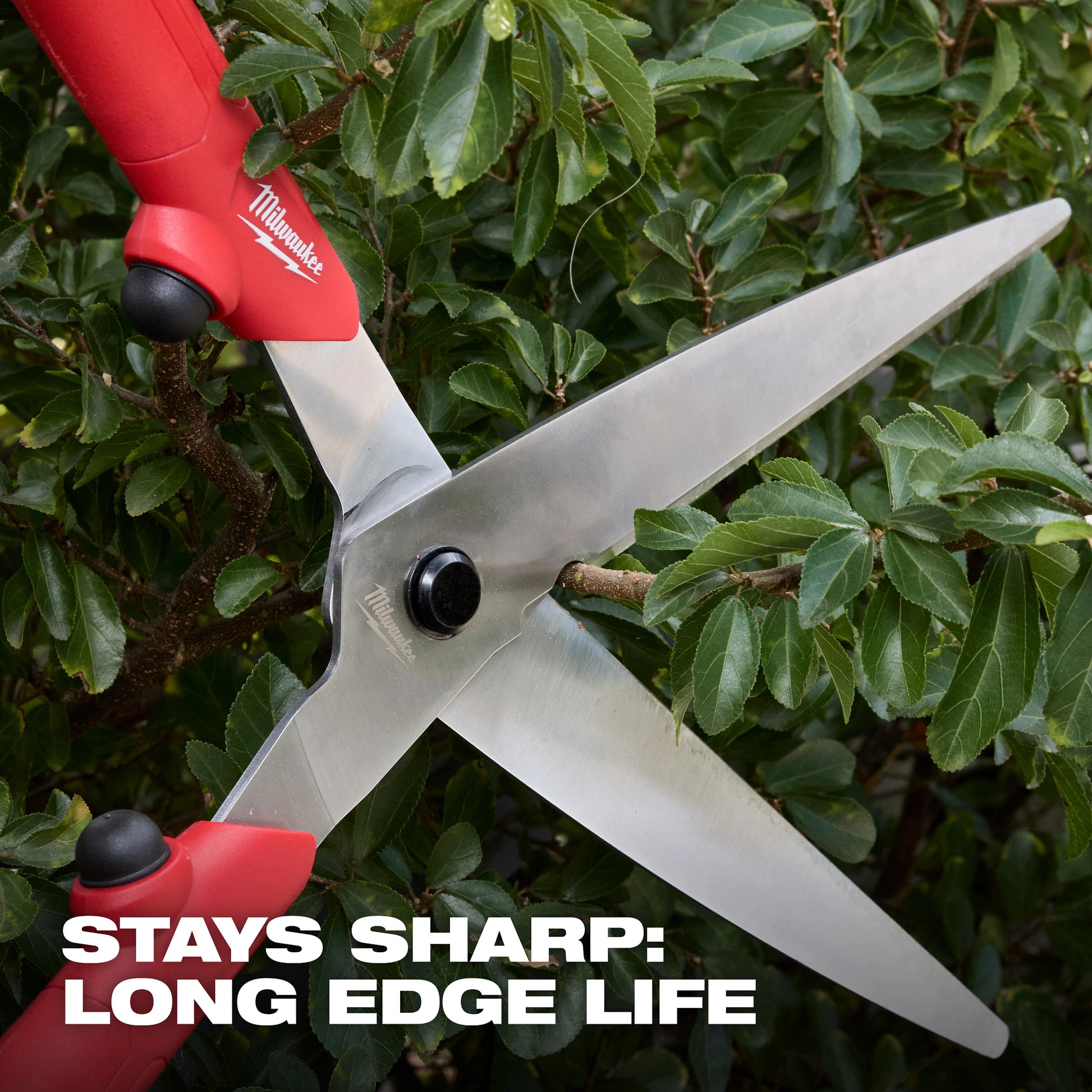 10” Hedge Shears​