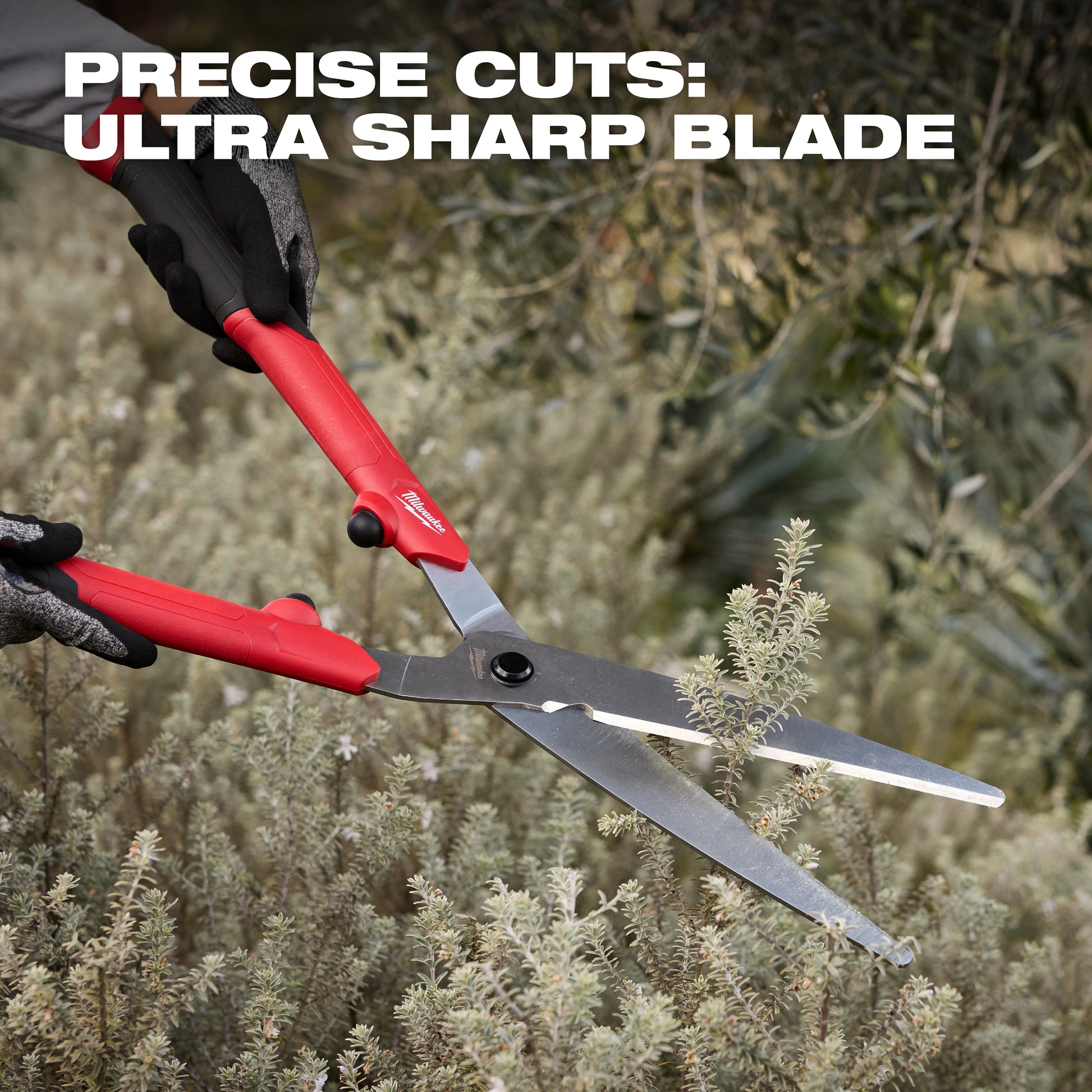 10” Hedge Shears​