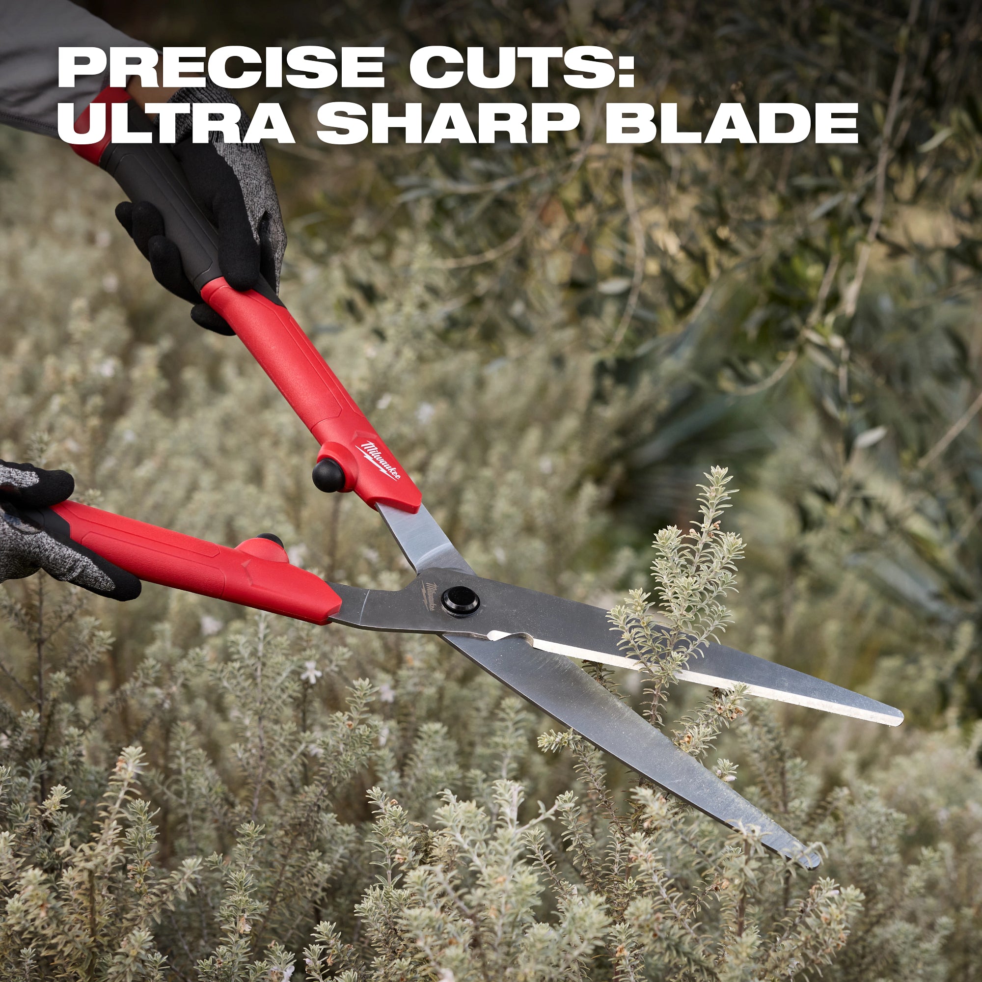10” Hedge Shears​
