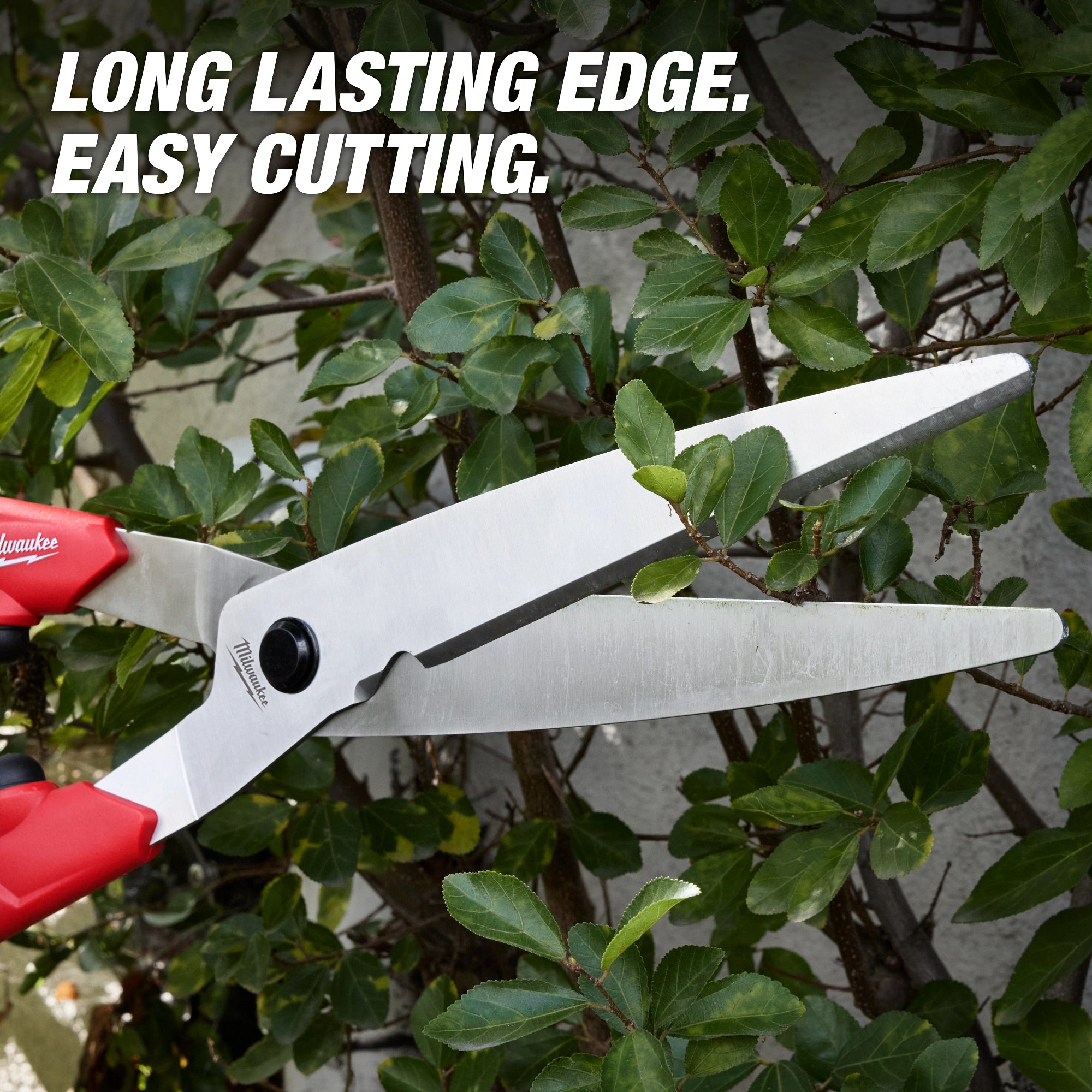 10” Hedge Shears​