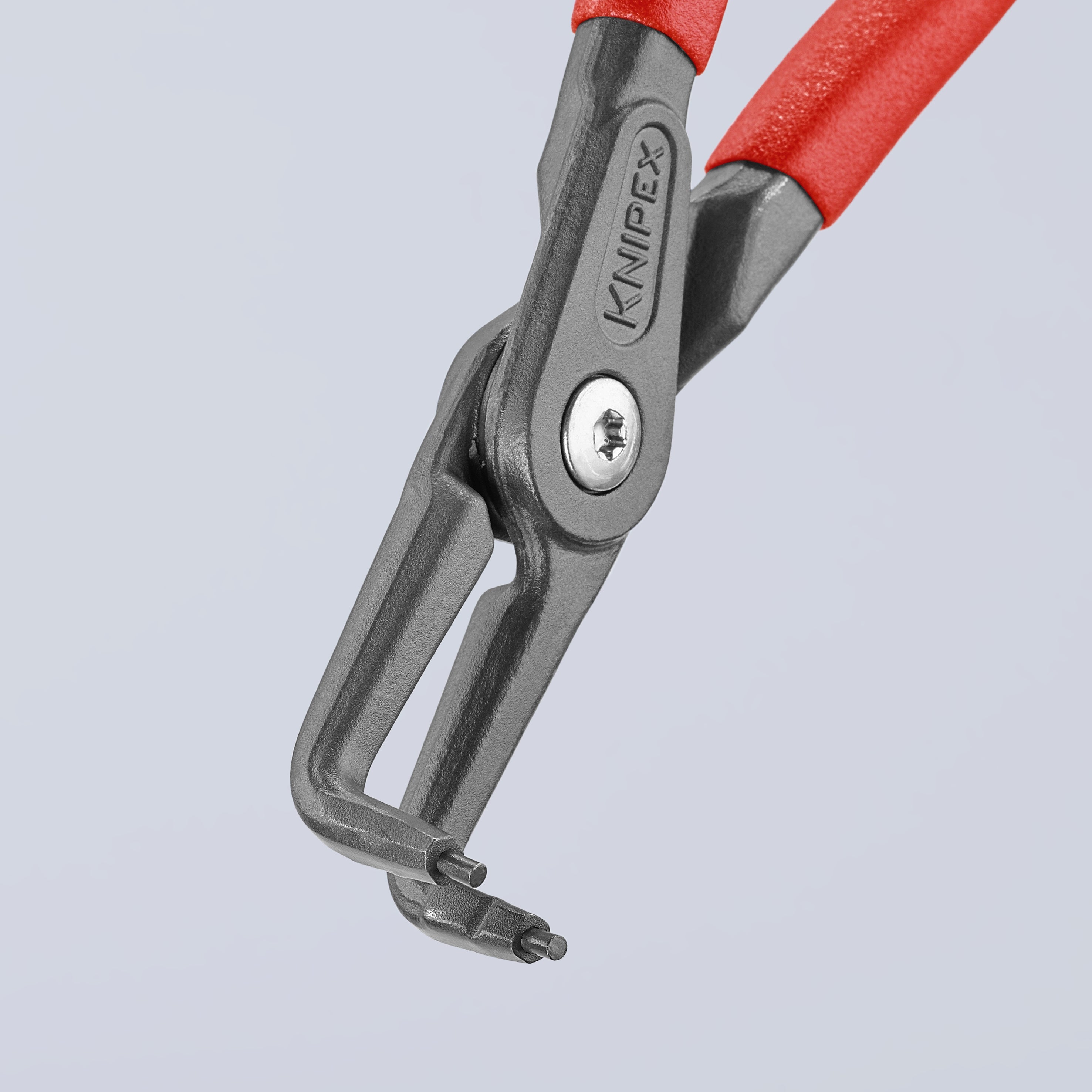 Knipex 4821J31 - Pince coudée de précision pour anneaux élastiques internes de 8 1/4"