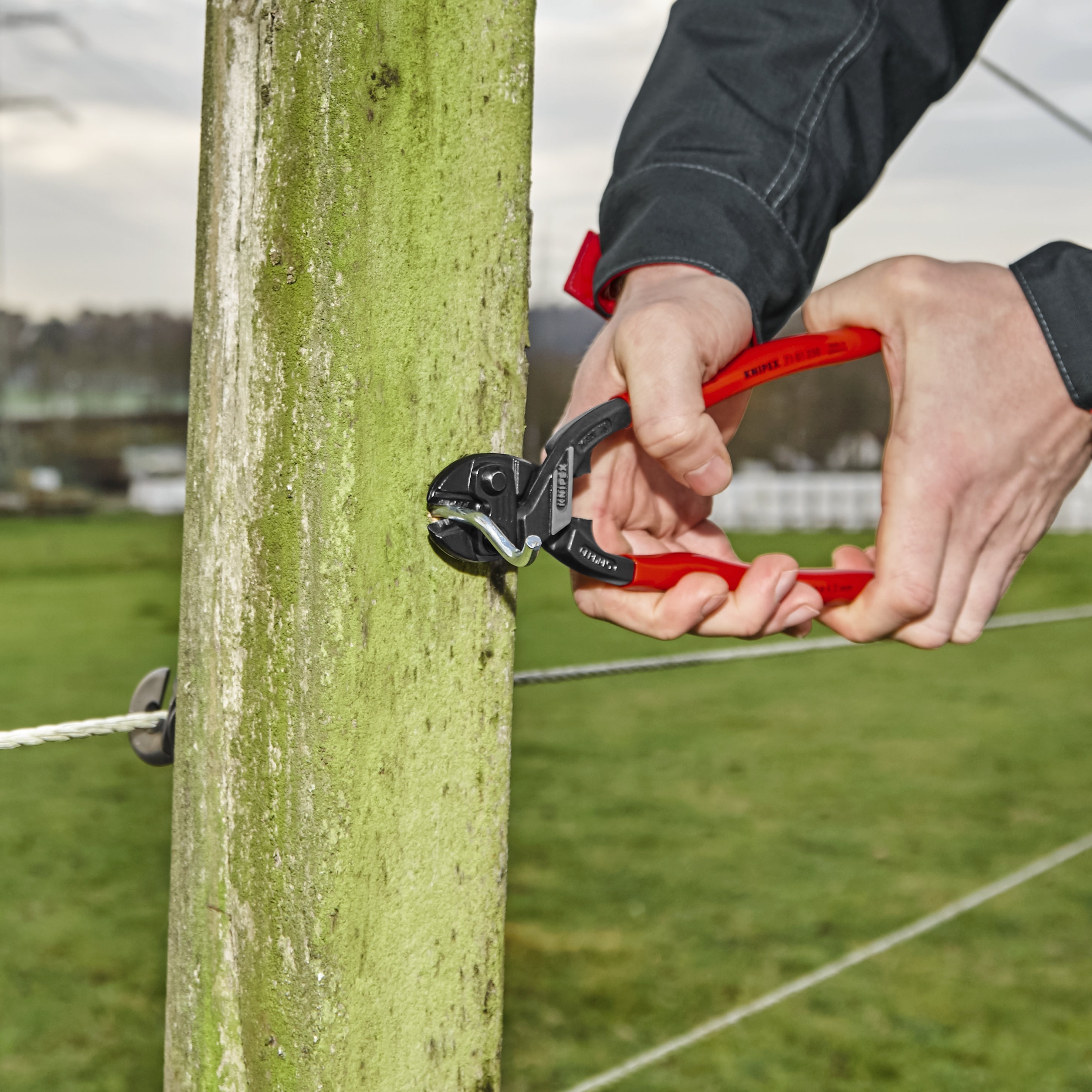 Knipex 7101250SBA - Coupe-boulons compacts CoBolt® XL à fort effet de levier de 25 cm