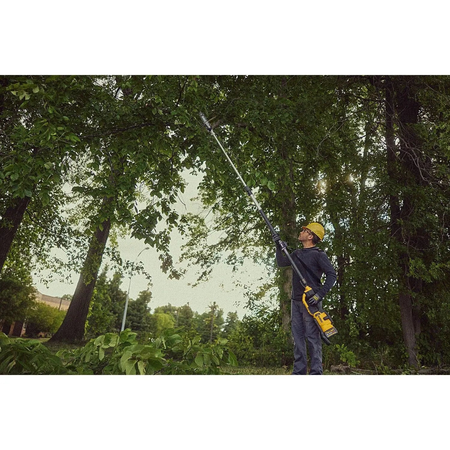 DCPS671B - DEWALT 60V Cordless Pole Saw, Telescoping (Bare Tool) - Wise Line Tools