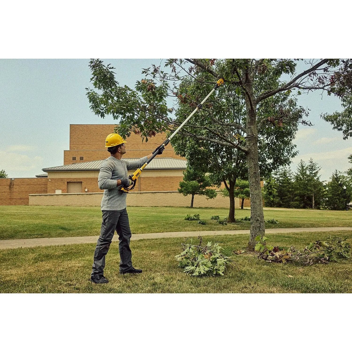 DEWALT DCPPR320B Pole Pruner (Bare Tool) - Wise Line Tools