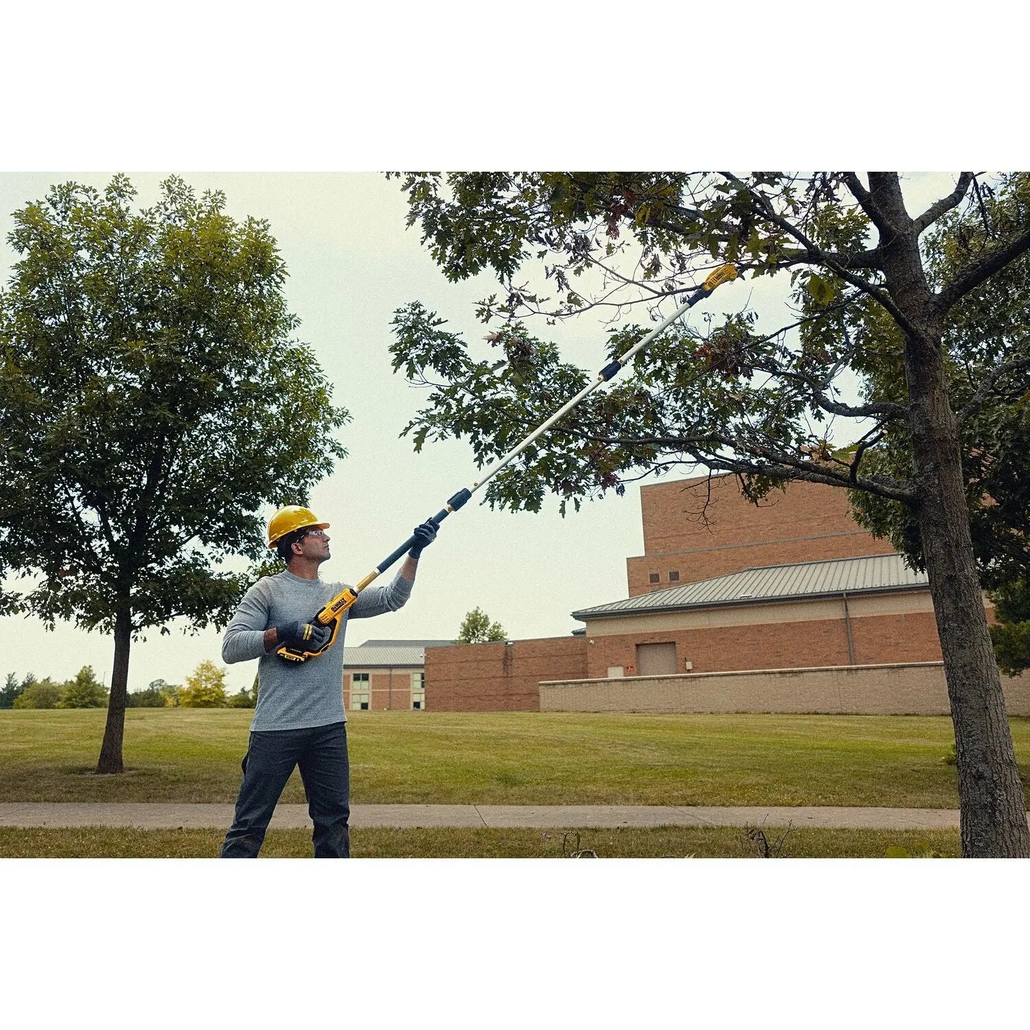 DEWALT DCPPR320D1 20V MAX* Cordless Pole Pruner Kit - Wise Line Tools