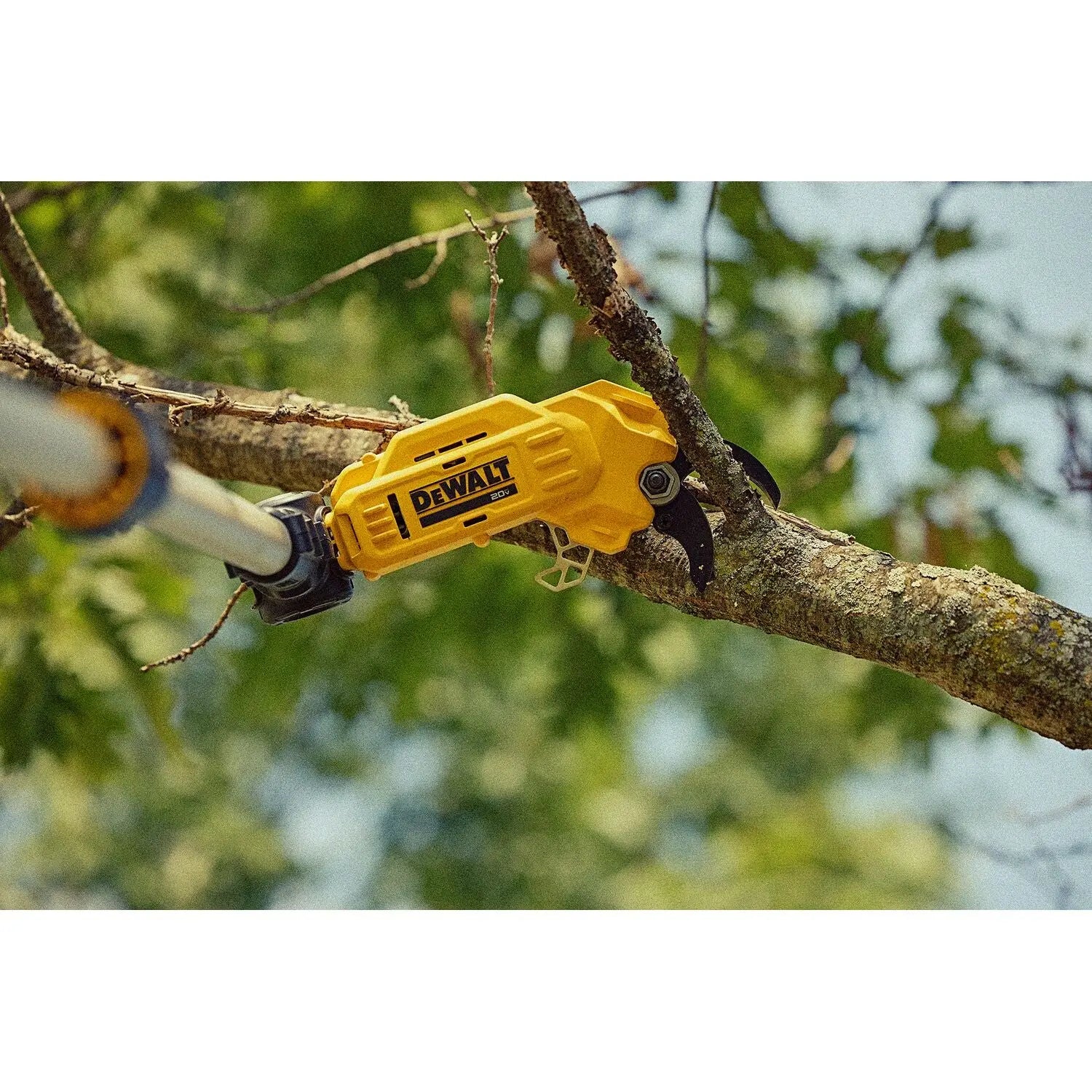 DEWALT DCPPR320D1 20V MAX* Cordless Pole Pruner Kit - Wise Line Tools