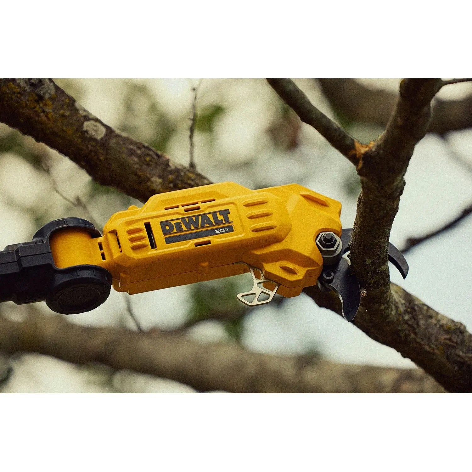 DEWALT DCPPR320D1 20V MAX* Cordless Pole Pruner Kit - Wise Line Tools