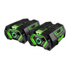 EGO BA2800T-2 - EGO Power+ 2 x 5.0 Amp Hour Battery Pack