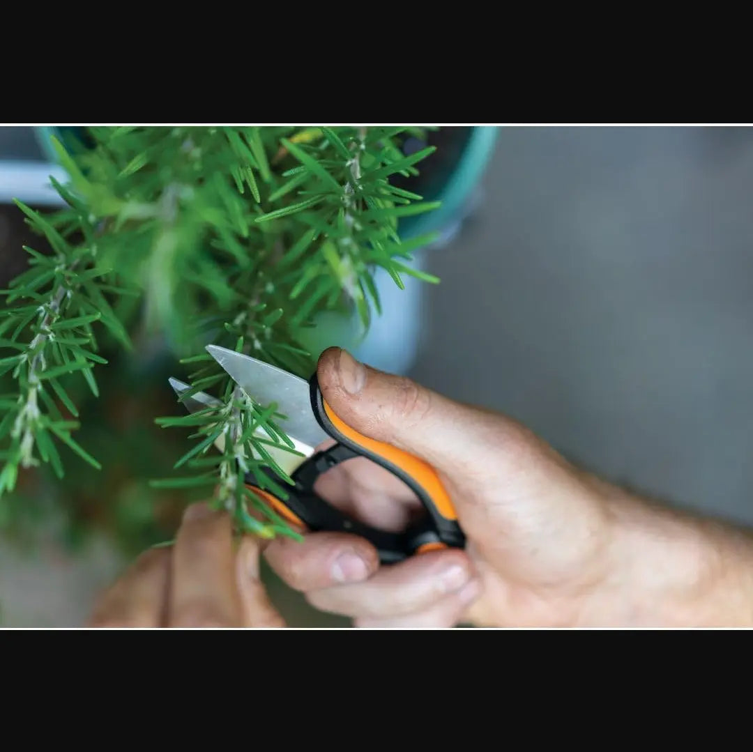 FISKARS FSK310020 - Herb Snips (5") FISKARS