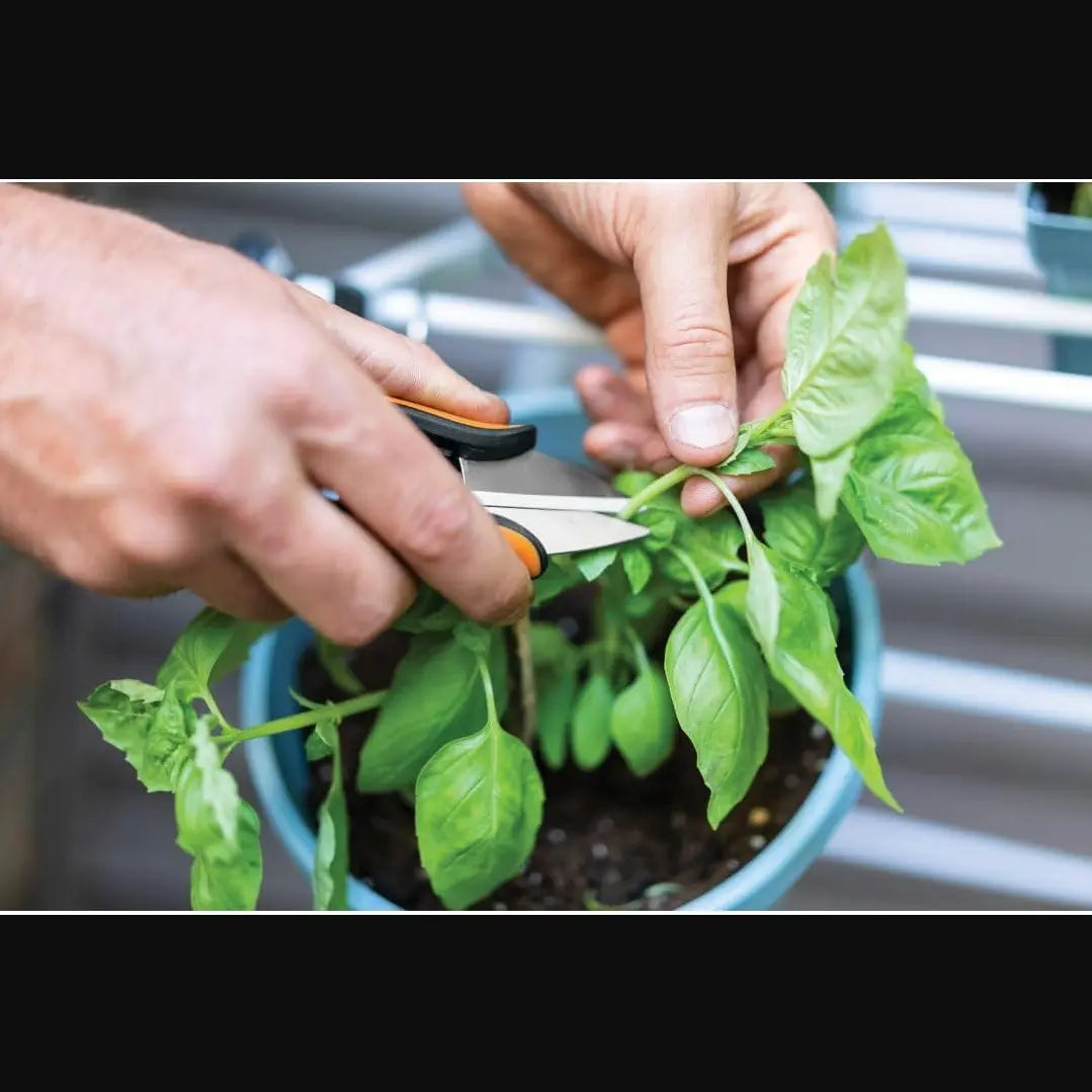 FISKARS FSK310020 - Herb Snips (5") FISKARS