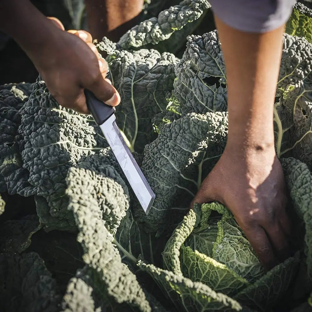 FISKARS FSK340150 - Fixed Harvesting Garden Knife FISKARS