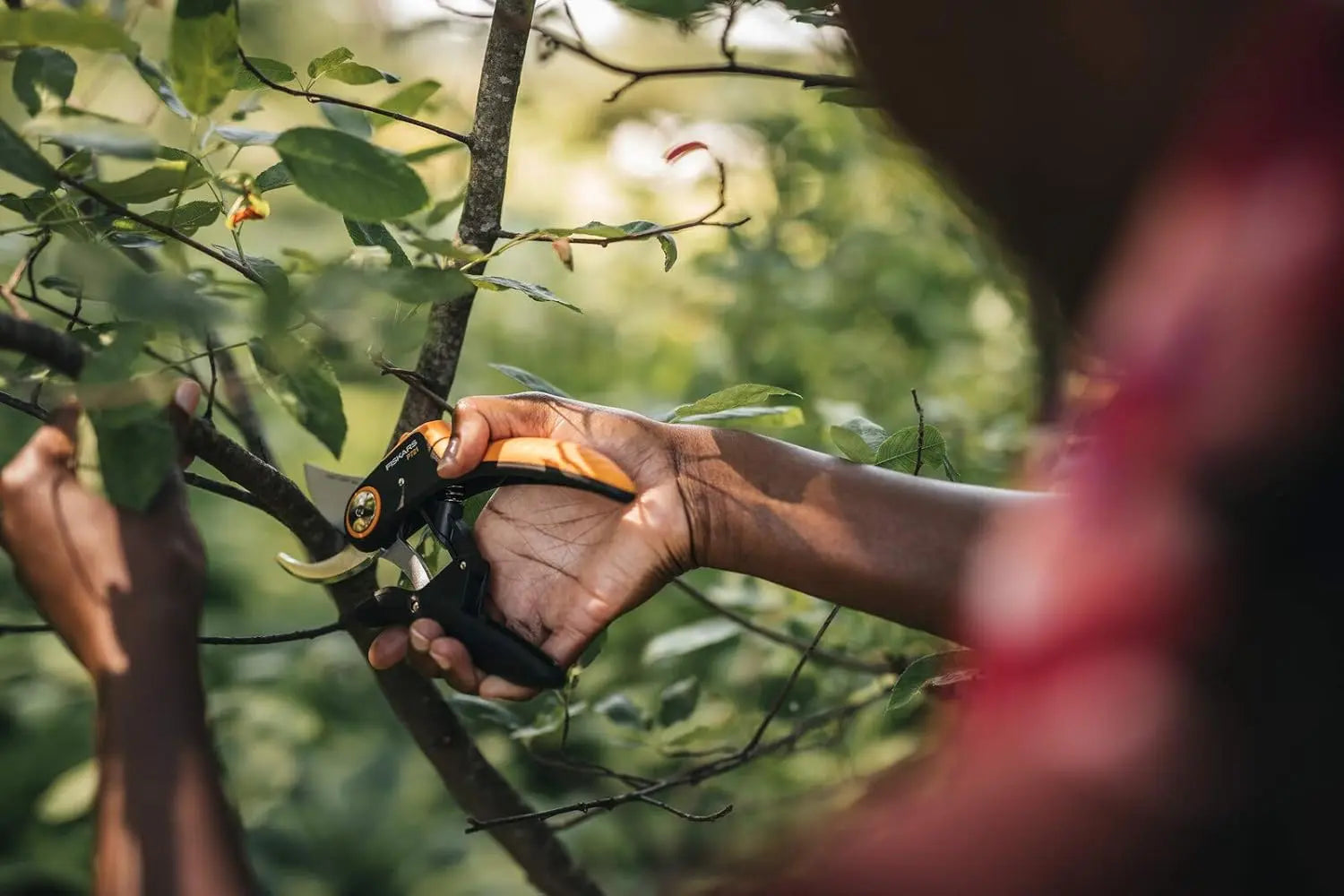 FISKARS FSK375081 - Pruner (P721) FISKARS