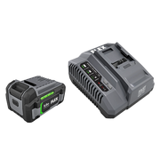 FLEX FX0411-1C - 24V 5.0Ah Lithium-Ion Starter Kit FLEX