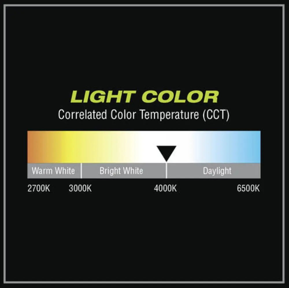 Flexzilla - FZLSLED03 50' 18/3 8000 Lumen LED String Light - Wise Line Tools