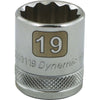 DYNAMIC GT-D009119 - 3/8" D - 12 POINT 19MM CHROME SOCKET