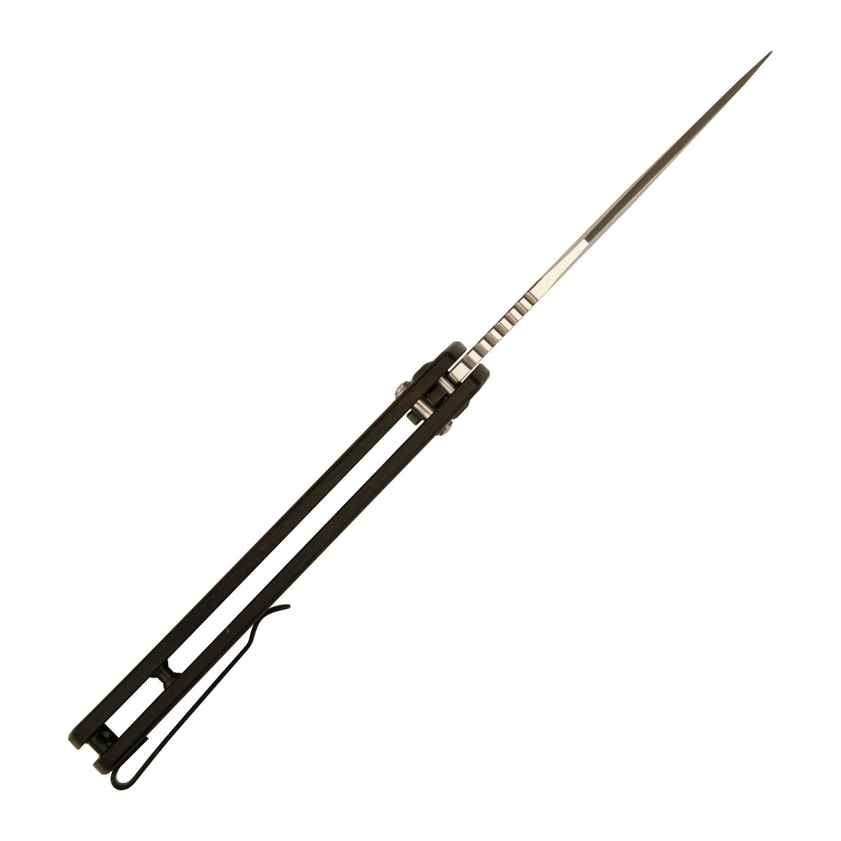 CJRB Prado J1936 - Ebony wood, profile