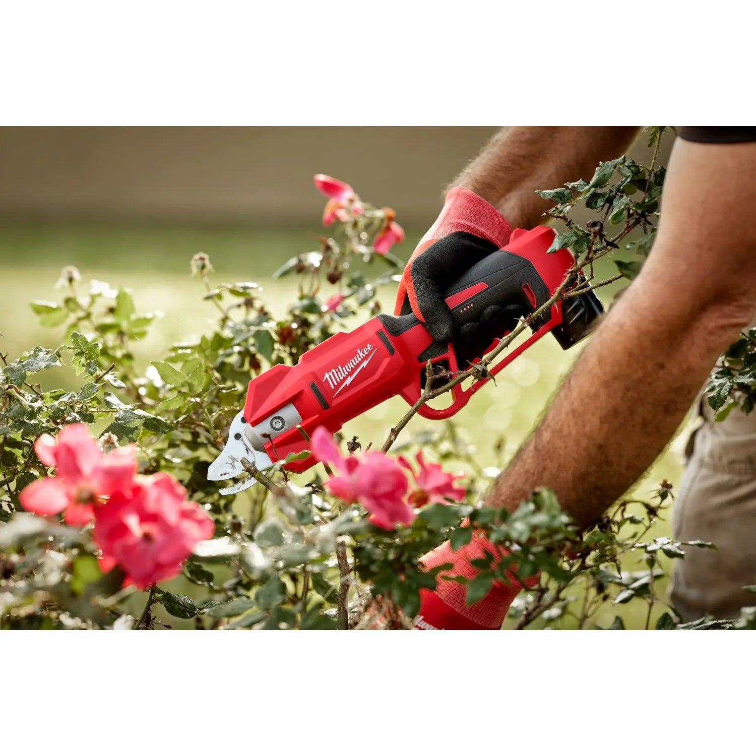 Milwaukee 2534-20 - M12™ Brushless Pruning Shears - Wise Line Tools