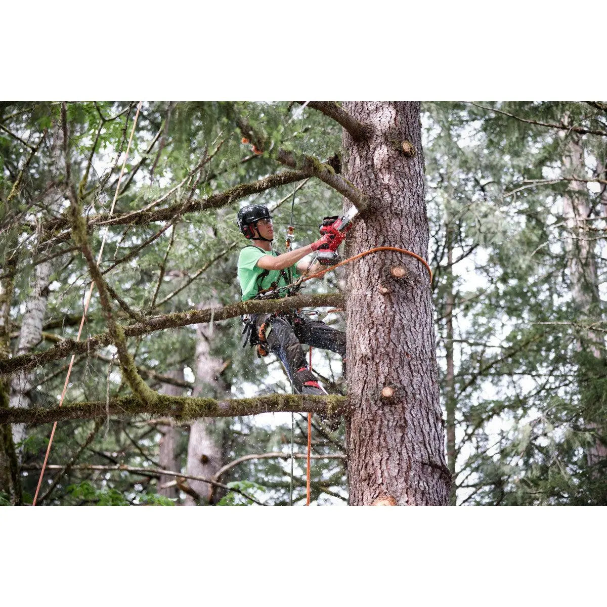 Milwaukee 3004-20 - M18 FUEL™ HATCHET™ 8" Pruning Saw - Wise Line Tools