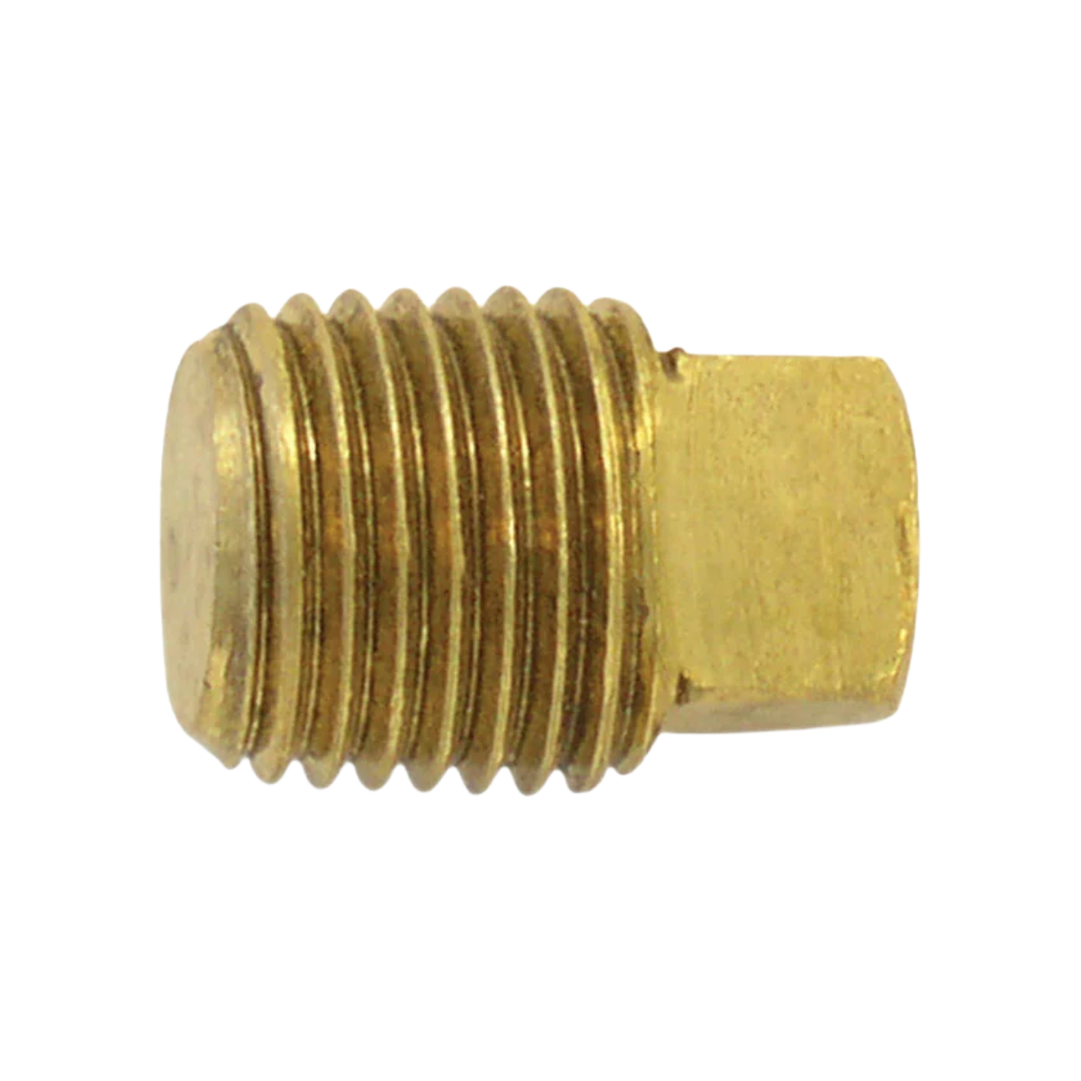 TOPRING 41.675 - 1/4" Square Head Pipe Plug
