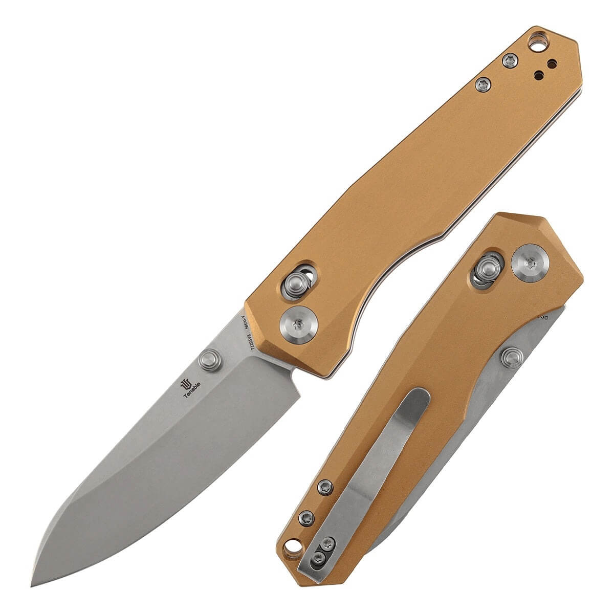 TENABLE T1105V5 - Beaver Crossbar Lock Folding Knife