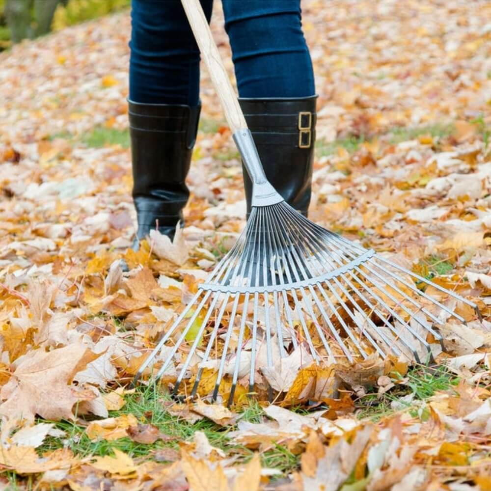 GARANT GLR22 - Pro Series 24-Inch Springback Steel Tine Lawn Rake