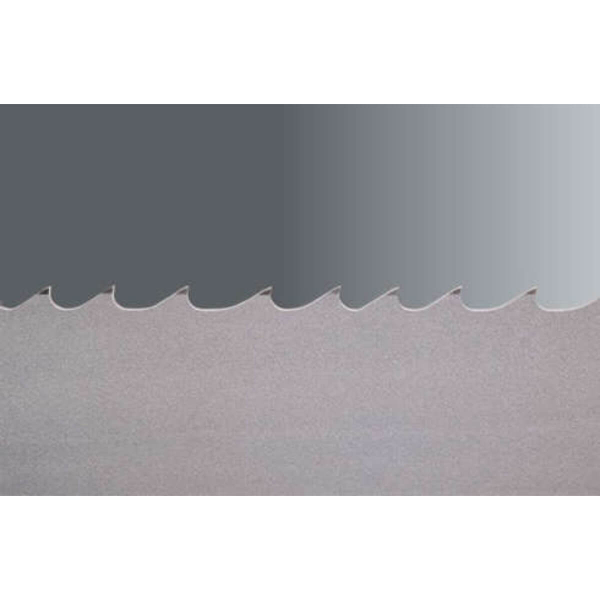 INDUSTRIAL BANDSAW IND-6917 - Bandsaw Blade 7'-8" x 3/4" x 8-12 M42