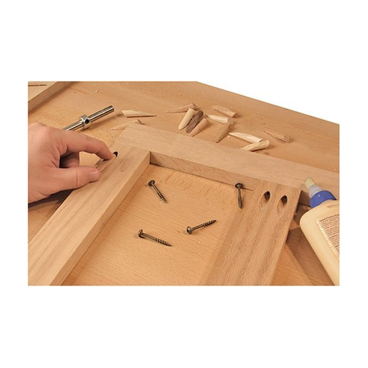KREG P-PNT - Solid Wood Plugs Paint Grade 50CT