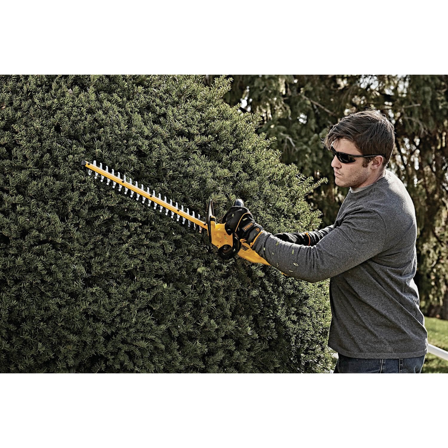 DEWALT DCHT820P1 20 V Max Hedge Trimmer with 5AH Pack