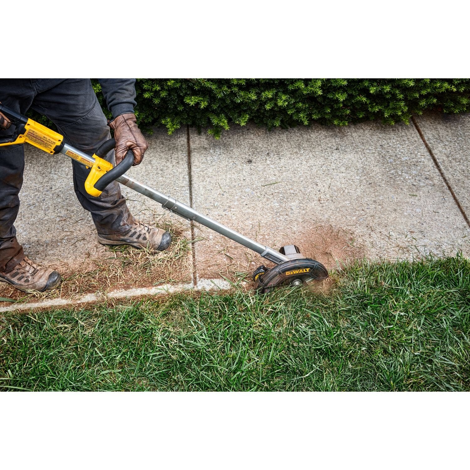 DW Cordless Edger (Bare)