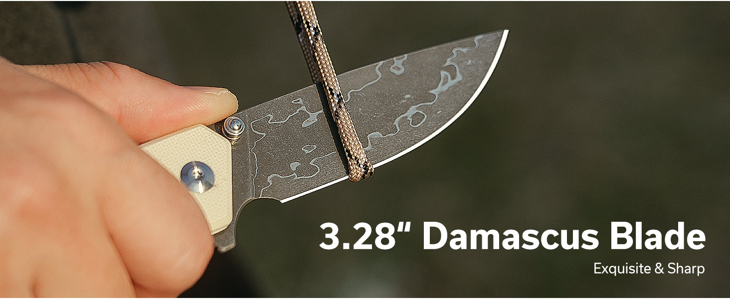 CIVIVI CIV-C24012-1 Merit Flipper Folding Knife - Black G10