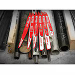 DIABLO DS0906VCW10C - 9" 5/7TPI Carbide Demo Demon Recip Blade for Nail-Embedded Wood (10pk)