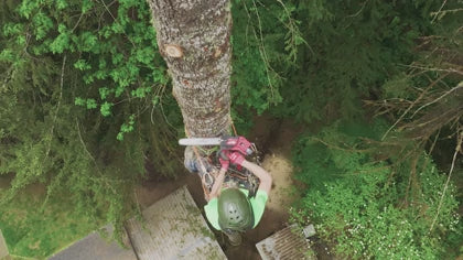 Charger la vidéo : Milwaukee 2826-21T M18 FUEL™ 14" Top Handle Chainsaw Kit - product video