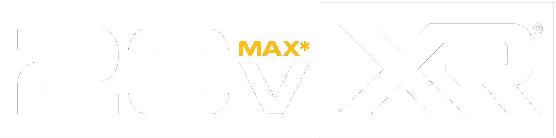 DEWALT 20V MAX XR Logo